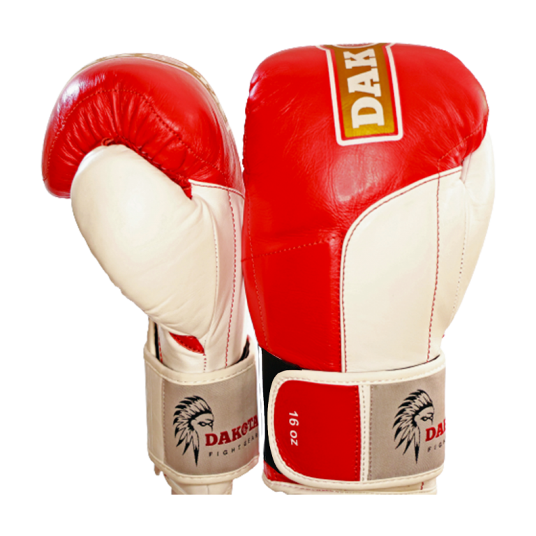 Iron Eagle Dakota Fight Gear